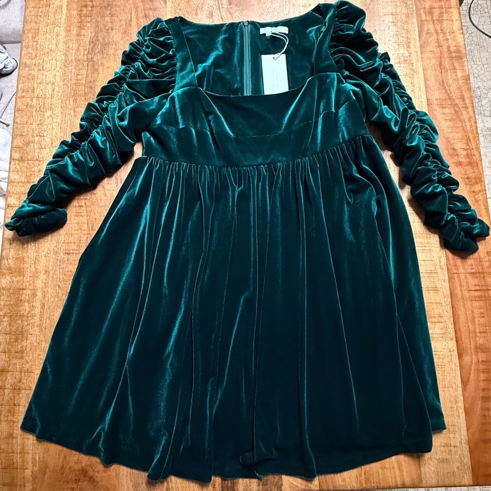 ANTONIO MELANI Velvet Long Sleeve Dress in Deep Green